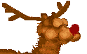 Reindeer