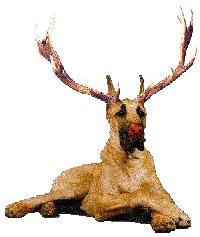 the only picture in the whole world of a DANE-DEER