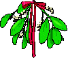 Mistletoe