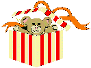 Teddy Bear in a Box